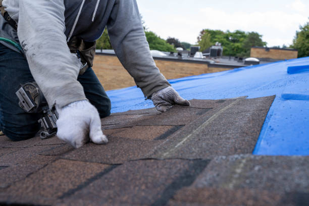 Roof Gutter Cleaning in Saxonburg, PA