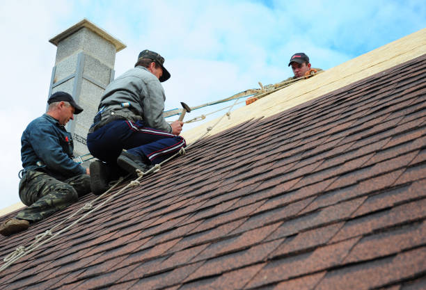 Best Local Roofing Companies  in Saxonburg, PA